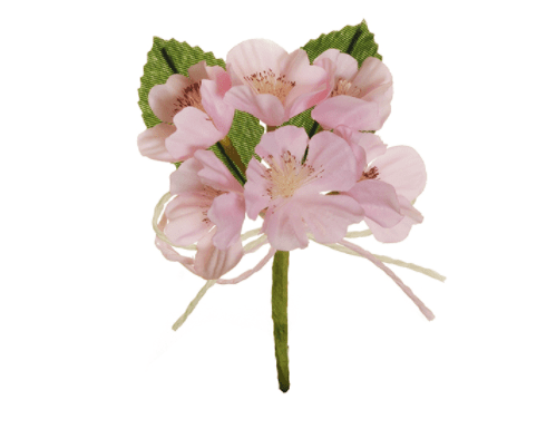 Peach Blossom Pick Pink